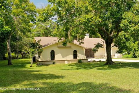 5323 Suwannee Rd, Weeki Wachee, FL 34607 photo 1