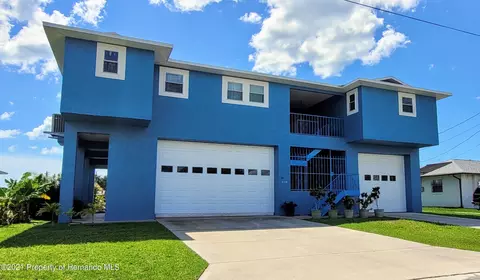 4159 Camelia Dr, Hernando Beach, FL 34607 photo 1