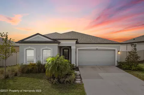 12411 Criollo Rd, Spring Hill, FL 34610 photo 1