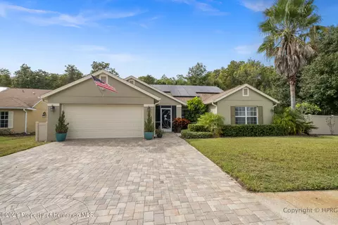 18931 Bluffview Way, Hudson, FL 34667 photo 1