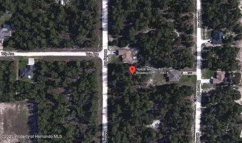 16408 Medley Rd, Weeki Wachee, FL 34614