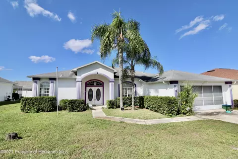 4221 Hoffman Ave, Spring Hill, FL 34606 photo 1