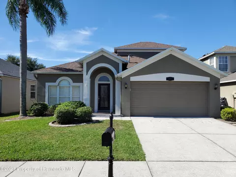 1749 Lady Palm Ct, Trinity, FL 34655 photo 1