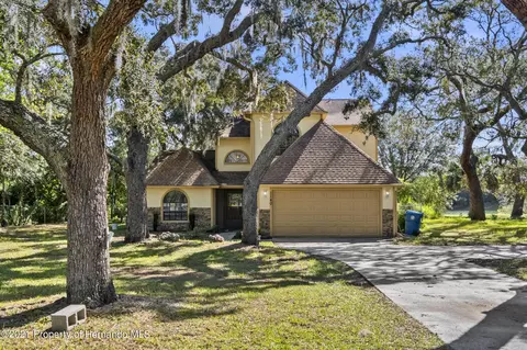 1140 Waterfall Dr, Spring Hill, FL 34608 photo 1