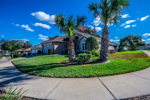 11246 Mcracken Dr, Spring Hill, FL 34609 photo 1