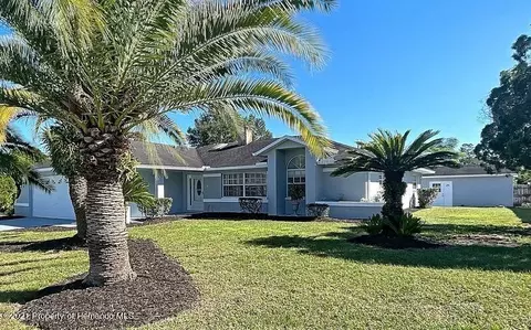 12171 Cavern Rd, Spring Hill, FL 34609 photo 1