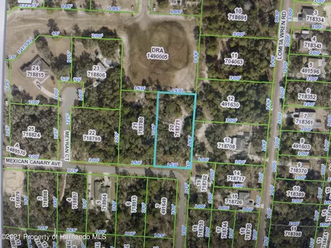 0 Mexican Canary Ave, Brooksville, FL 34614