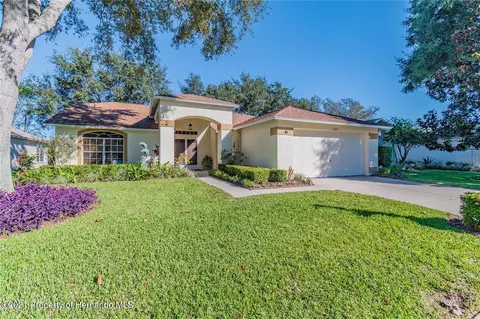 11223 Sun Tree Rd, Hudson, FL 34667 photo 1