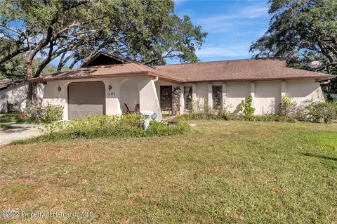 1167 Tryon Cir, Spring Hill, FL 34606 photo 1