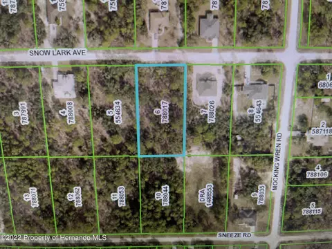0 Snow Lark Ave, Brooksville, FL 34614
