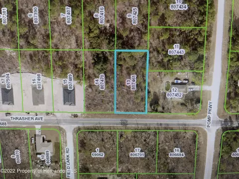 0 Thrasher Rd, Brooksville, FL 34614
