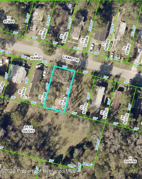 21324 Canal Dr, Brooksville, FL 34601