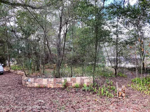 14738 Todd Trl, Spring Hill, FL 34610 photo 1