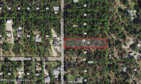 2977 N Hamlin Ter, Hernando, FL 34442 photo 1