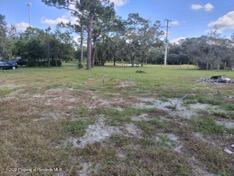 14085 Turner Loop, Spring Hillpasco, FL 34610 photo 1