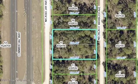 17160 Nicasio Jay Ave, Weeki Wachee, FL 34614
