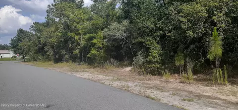 00 Alameda Dr, Spring Hill, FL 34609 photo 6