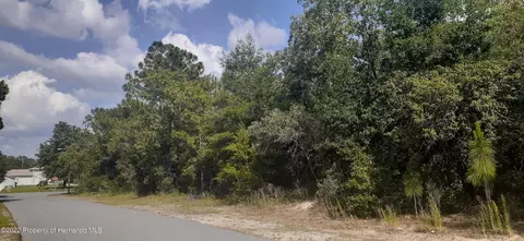 00 Alameda Dr, Spring Hill, FL 34609 photo 7
