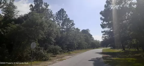 00 Alameda Dr, Spring Hill, FL 34609 photo 4