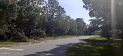 00 Alameda Dr, Spring Hill, FL 34609 photo 2