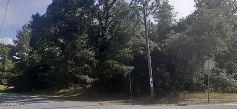 00 Alameda Dr, Spring Hill, FL 34609 photo 5