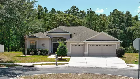 14889 Edgemere Dr, Spring Hill, FL 34609 photo 1
