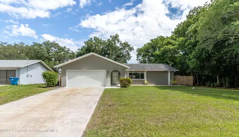 11418 Callaghan Ave, Spring Hill, FL 34608 photo 1