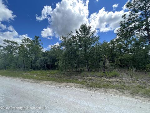 Lot 29 Eastern Phoebe, Weeki Wachee, FL 34614