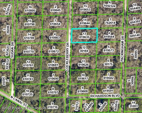 7480 Cockleberry Rd, Webster, FL 33597 photo 1