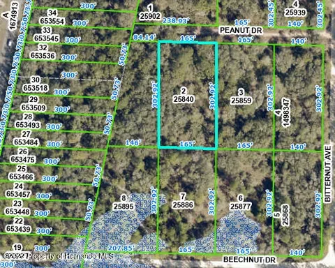 00 Peanut Dr, Webster, FL 33597