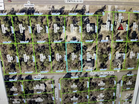 0 Peregrine Falcon Ave, Weeki Wachee, FL 34614