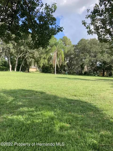3254 Aldoro Ave, Spring Hill, FL 34609 photo 1