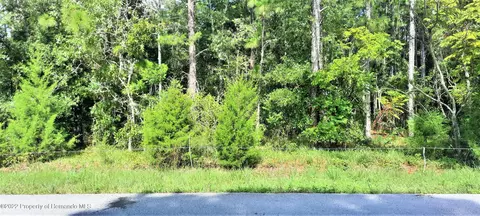00000000 Jumper Loop, Spring Hill, FL 34609