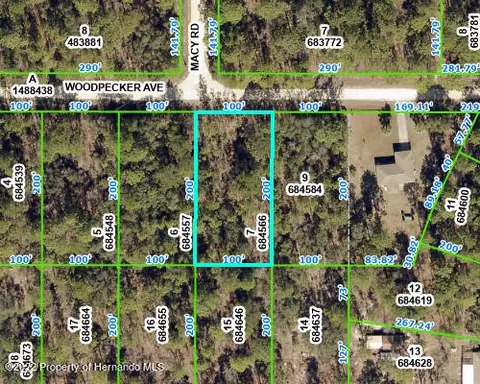 0000 Woodpecker N, Weeki Wachee, FL 34614
