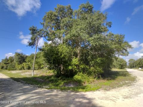9293 Native Rock Dr, Webster, FL 33597 photo 1