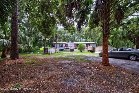 11536 Cr 682 Rd, Webster, FL 33597 photo 1
