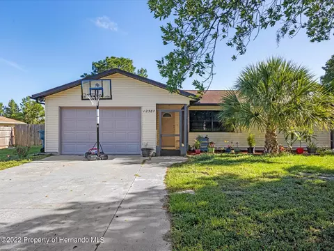 12387 Seagate St, Spring Hill, FL 34609 photo 1