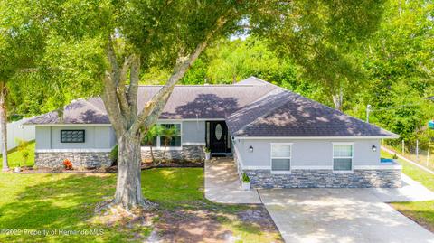 5319 Elkin Ave, Spring Hill, FL 34606 photo 1