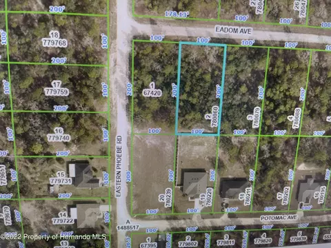 9 Eadom Ave, Weeki Wachee, FL 34614