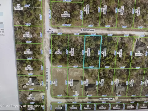 00780079 Eadom Ave, Weeki Wachee, FL 34614