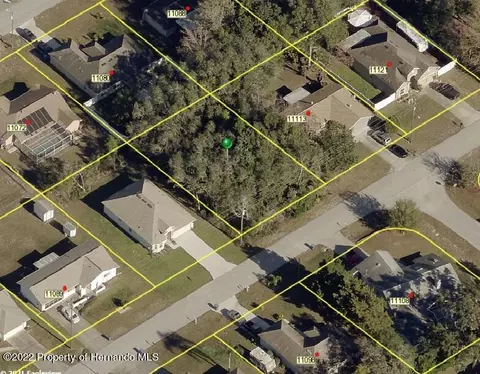 11105 Norvell Rd, Spring Hill, FL 34608