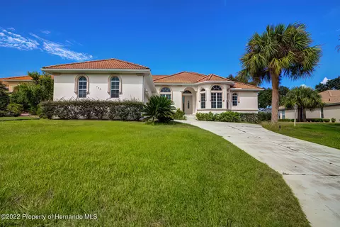143 W Mickey Mantle Path, Hernando, FL 34442 photo 1