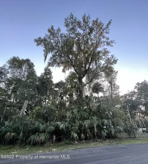 182 N Robin Hood Rd, Inverness, FL 34450