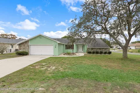 12312 Drayton Dr, Spring Hill, FL 34609 photo 1