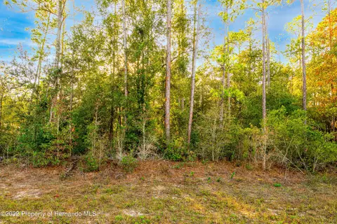 10404 N Holcomb Dr, Citrus Springs, FL 34434