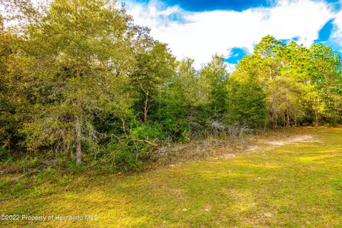 436 E Marlow Pl, Citrus Springs, FL 34434