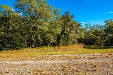 9301 N Lampson Ter, Citrus Springs, FL 34434