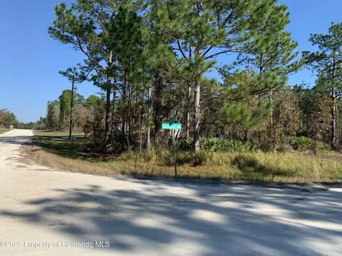16086 Medrick Rd, Brooksville, FL 34614
