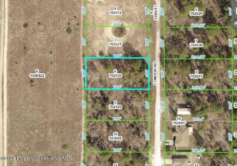 Lot 8 Condor, Weeki Wachee, FL 34614