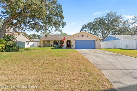 1462 Nobleton Ave, Spring Hill, FL 34608 photo 1